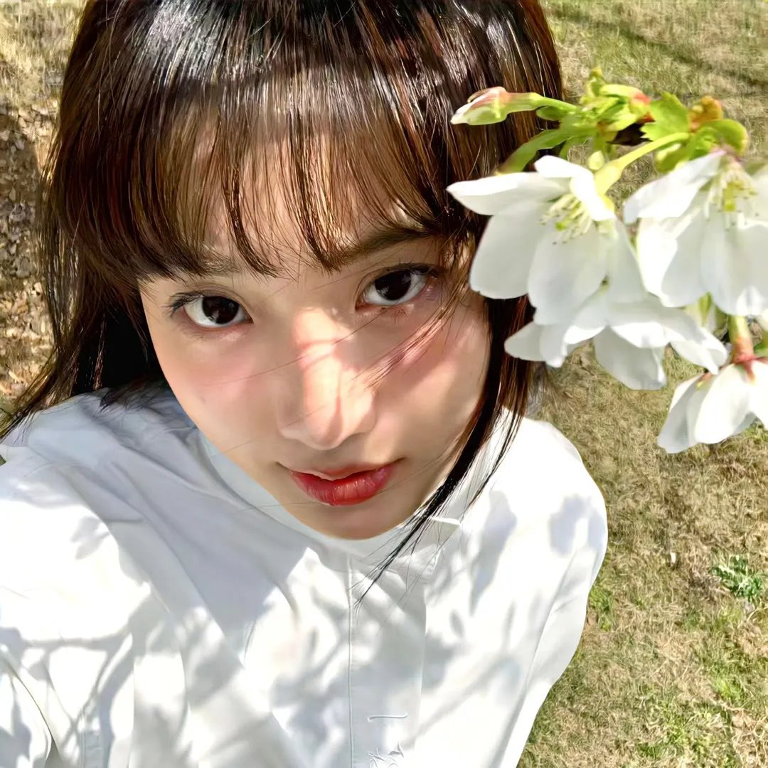 女导与强盗